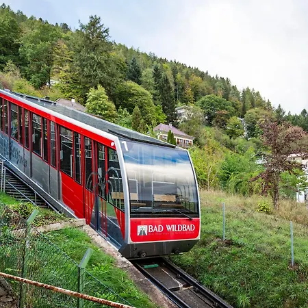 Stilvolle Im Schwarzwald - 2 Min Zu Fuss Ins Zentrum, S-bahn, Therme & Bergbahn Apartment Bad Wildbad