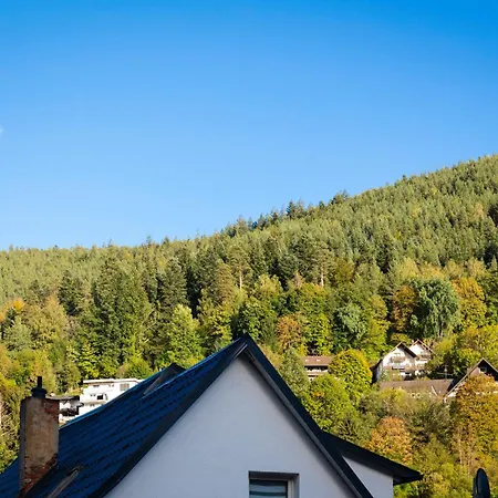 Apartment Stilvolle Im Schwarzwald - 2 Min Zu Fuss Ins Zentrum, S-bahn, Therme & Bergbahn Bad Wildbad